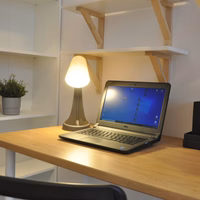 room photo