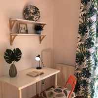 room photo