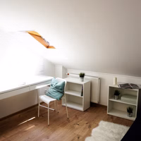 room photo