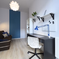 room photo