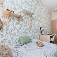 room photo