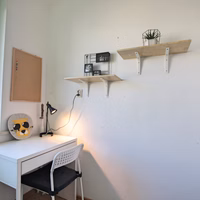 room photo