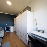 room photo