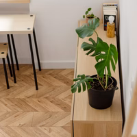room photo
