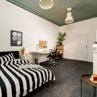 room photo
