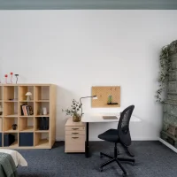 room photo