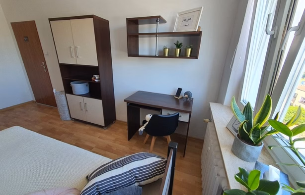 Pokój 1-osobowy  nr 6, Poznań-1