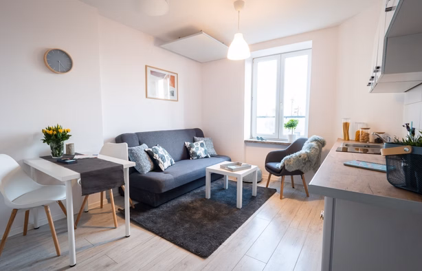Studio apartment 303, ul. Krucza 4 / Przybyszewskiego, Łódź-1