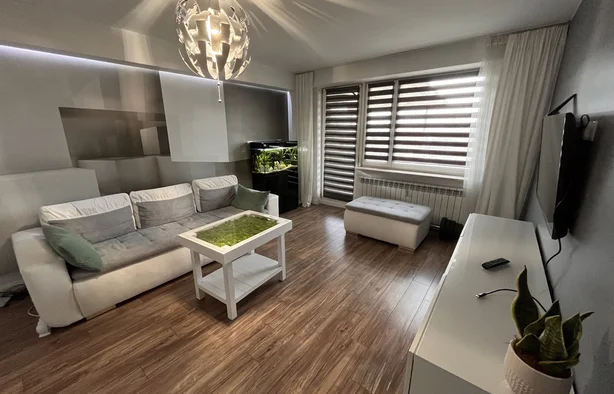 Single room, 2 medium, Warszawa-1