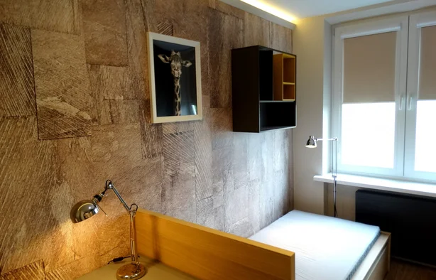 Pokój 1-osobowy Apartament 2, Łódź-1