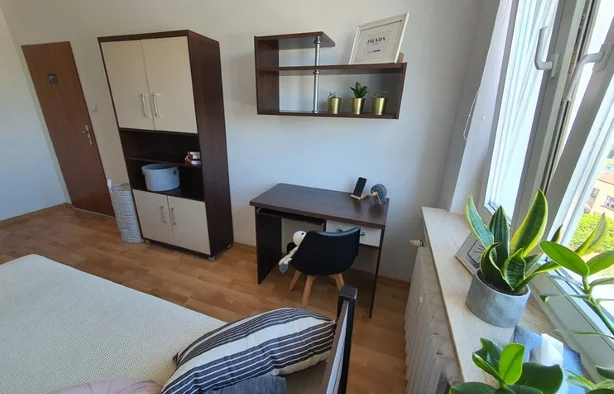 Single room No. 6, Poznań-1