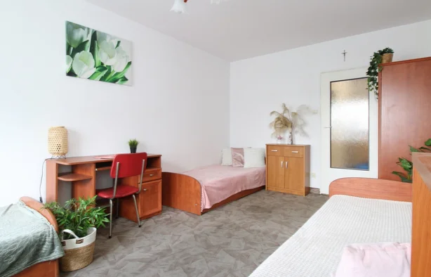 Nowa 37/41, 2-room apartment, Łódź-1