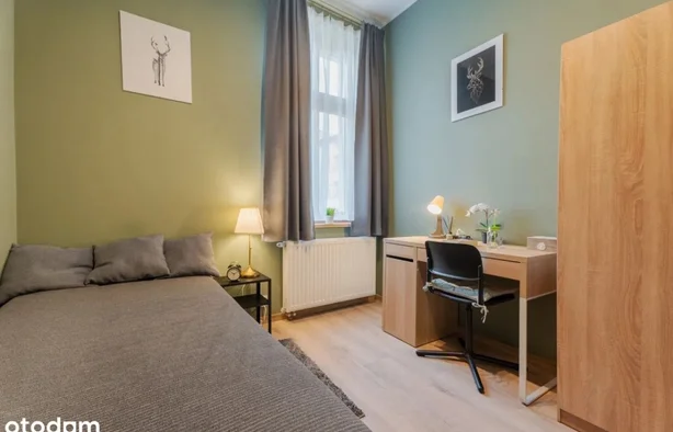 Pokój 1-osobowy PREMIUM obok Galaxy! Ścisłe Centrum (nr. 3), Szczecin-1