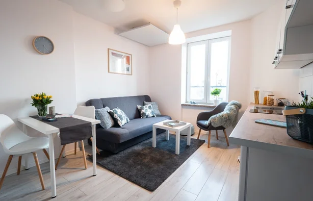 Studio apartment 303, ul. Krucza 4 / Przybyszewskiego, Łódź-1