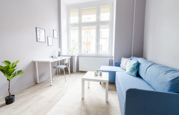 2-room apartment ul. Lipowa 53 / Struga, Łódź-1