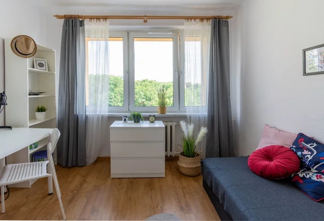 Single room 4