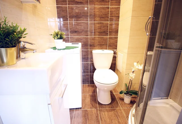 Zielona 73, studio apartment