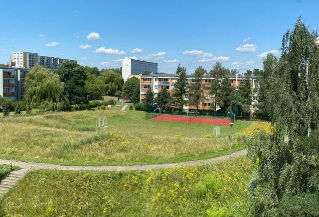 Pokój 1-osobowy  nr 2