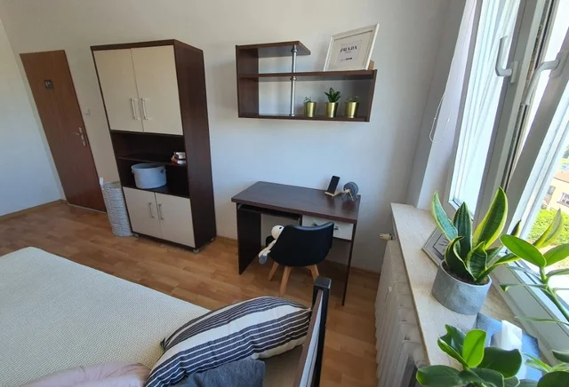 Single room No. 6