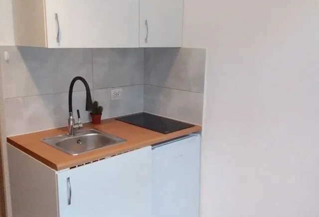 Невелика квартира-студія 25 м² у центрі міста – домашні тварини вітаються!
