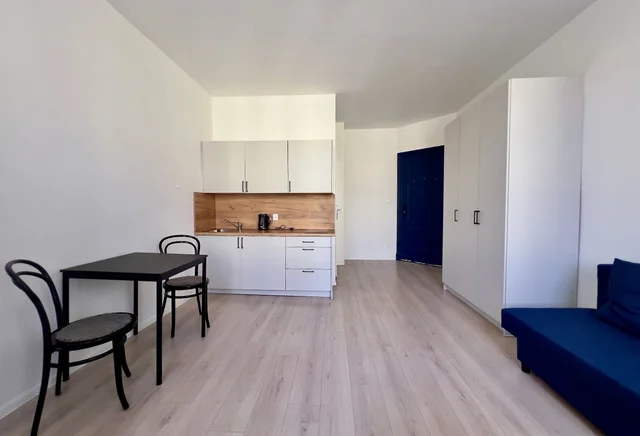 Чарівна холостячка в Познані Вільда