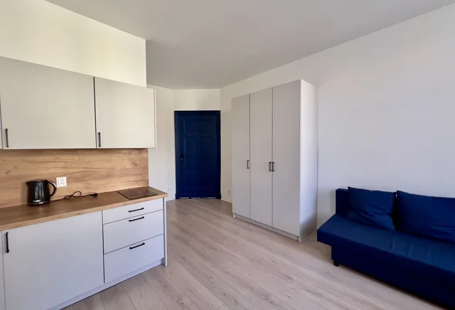 Чарівна холостячка в Познані Вільда