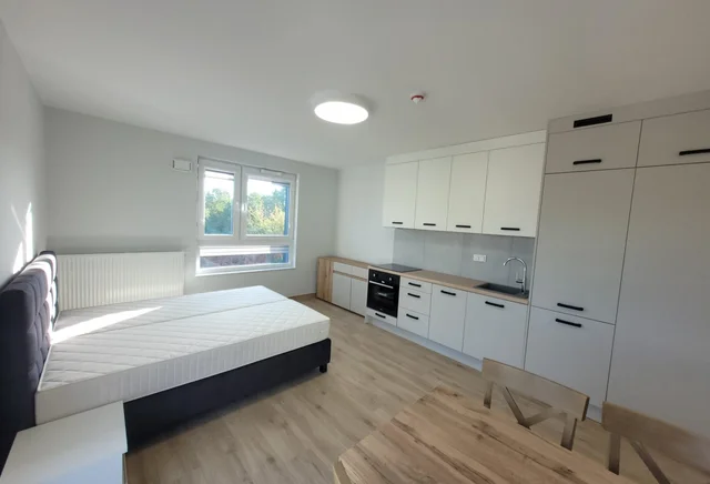 DreamRent Suite Deluxe – Studio z aneksem dla 2 osób