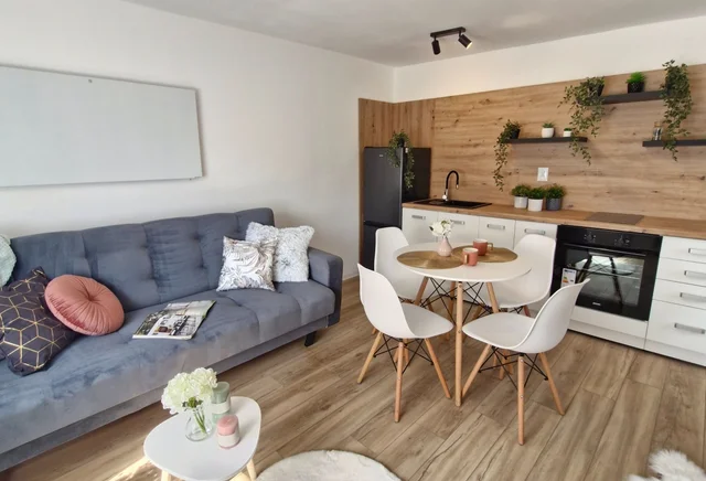 Studio apartment after general renovation - Świętochłowice, Łagiewnicka